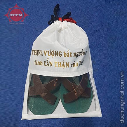 Túi Bảo Quản Giày Dép